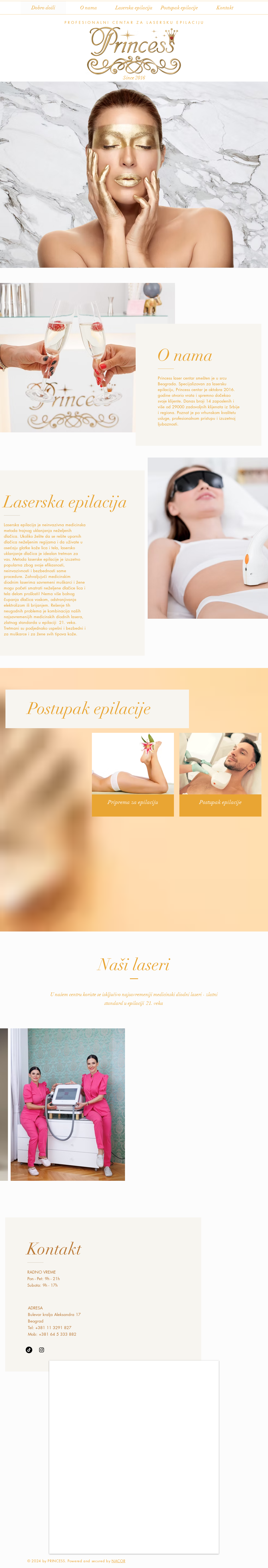 Gornji viewport trenutne Princess početne strane iz pune audit slike